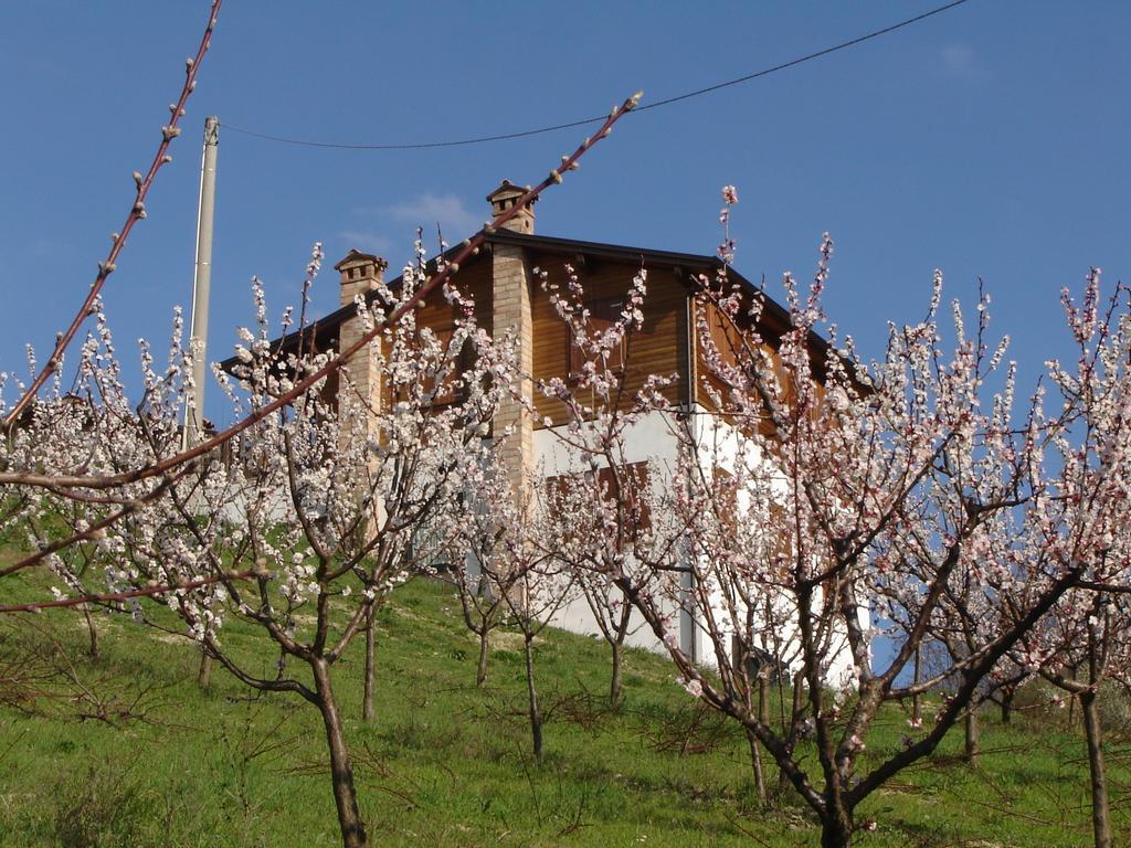 Casa Dell' Abbondanza B&B Agriturismo Vigoleno 外观 照片