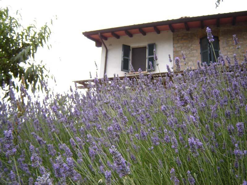 Casa Dell' Abbondanza B&B Agriturismo Vigoleno 外观 照片