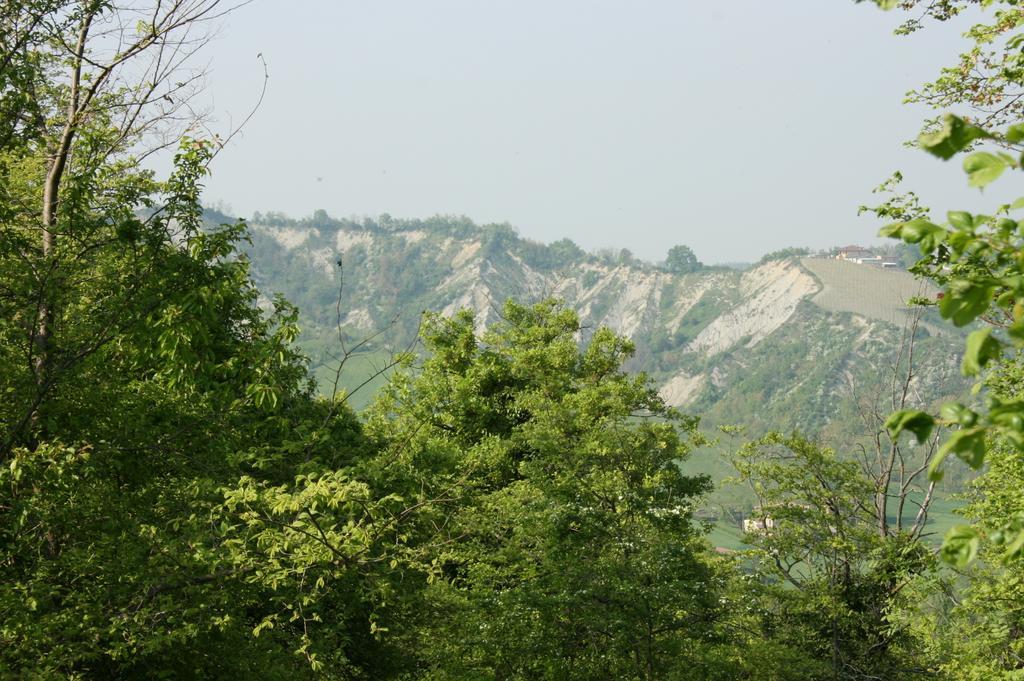 Casa Dell' Abbondanza B&B Agriturismo Vigoleno 外观 照片